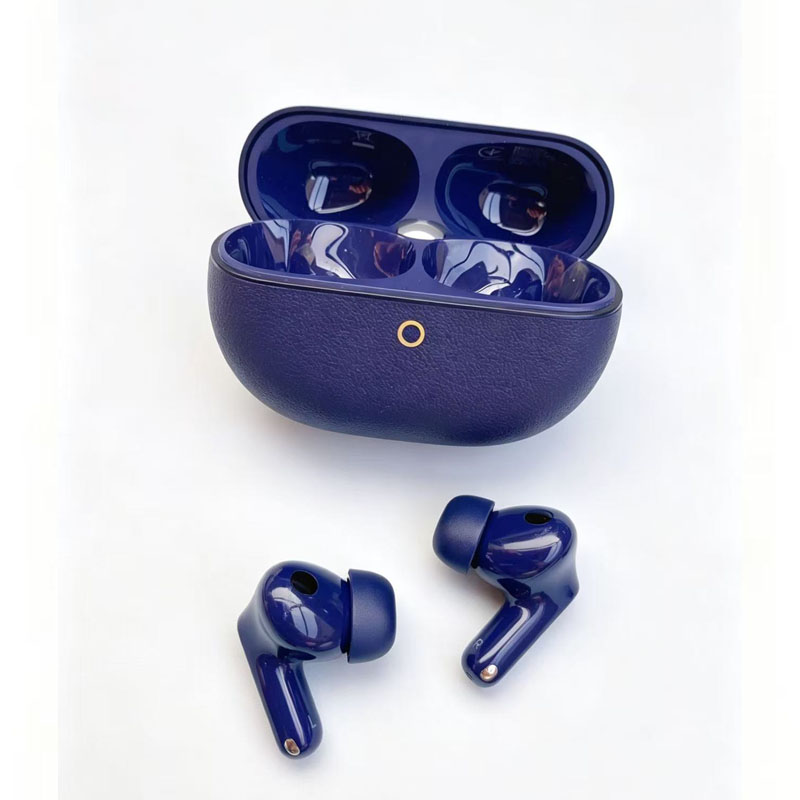 Single Earphone Replacement Pa - Earbuds Charging Case 评论和价格